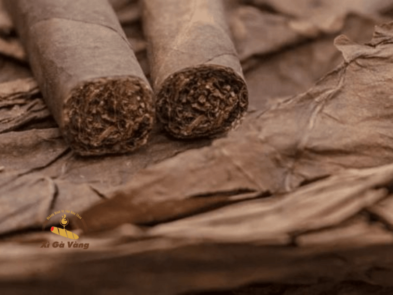 Giả kim thuật xì gà